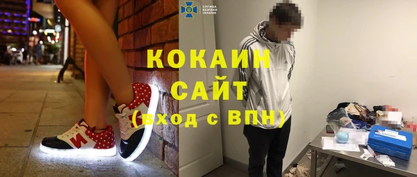 тгк Новозыбков