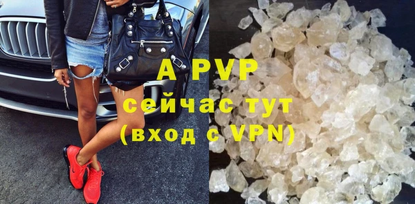 тгк Новозыбков