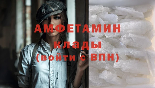 тгк Новозыбков